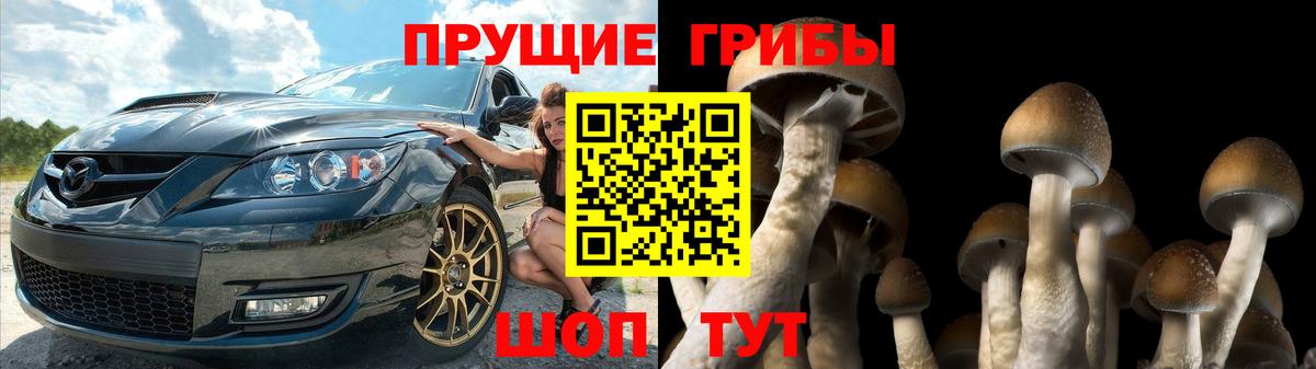 Псилоцибиновые грибы Magic Shrooms Рассказово